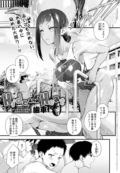 Dmmmg 3116pl