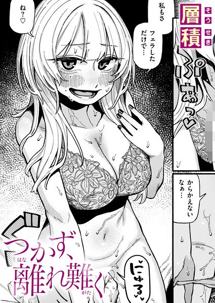 B915awnmg04415pl